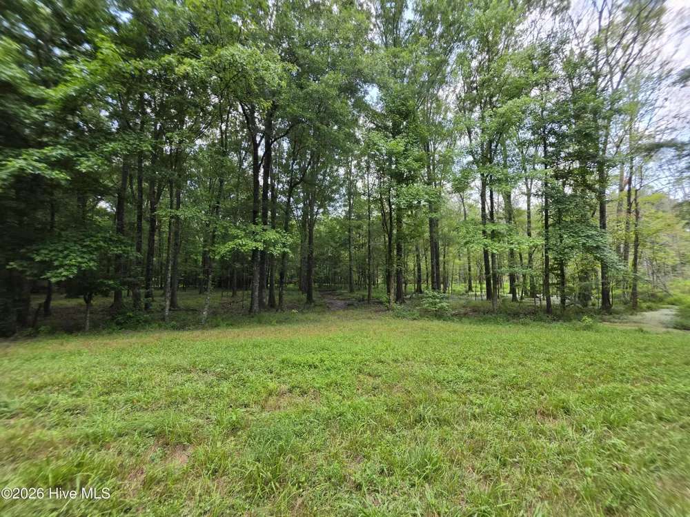 000 Court Ground Road Washington, GA 30673