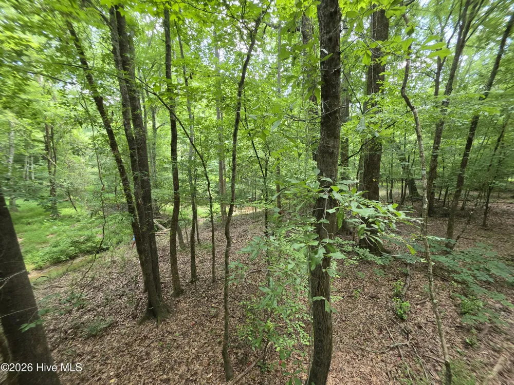 000 Court Ground Road Washington, GA 30673