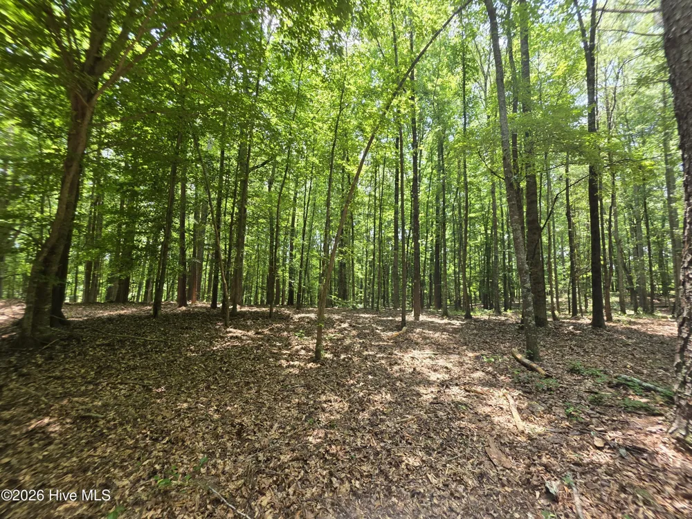 000 Court Ground Road Washington, GA 30673