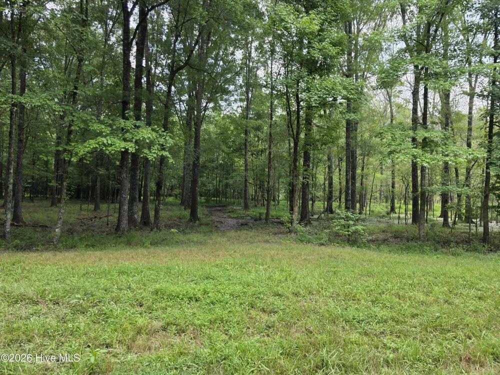 000 Court Ground Road Washington, GA 30673