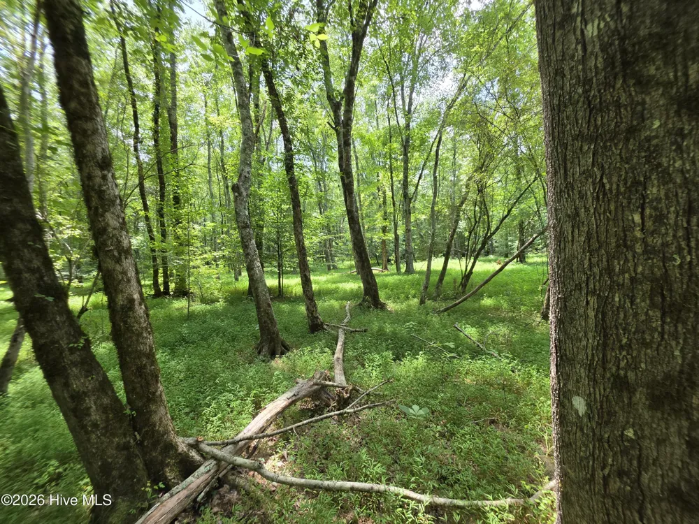 000 Court Ground Road Washington, GA 30673