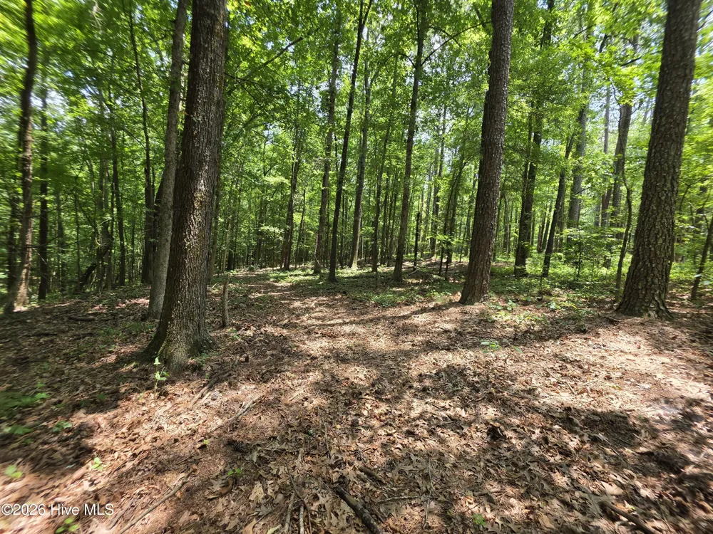 000 Court Ground Road Washington, GA 30673