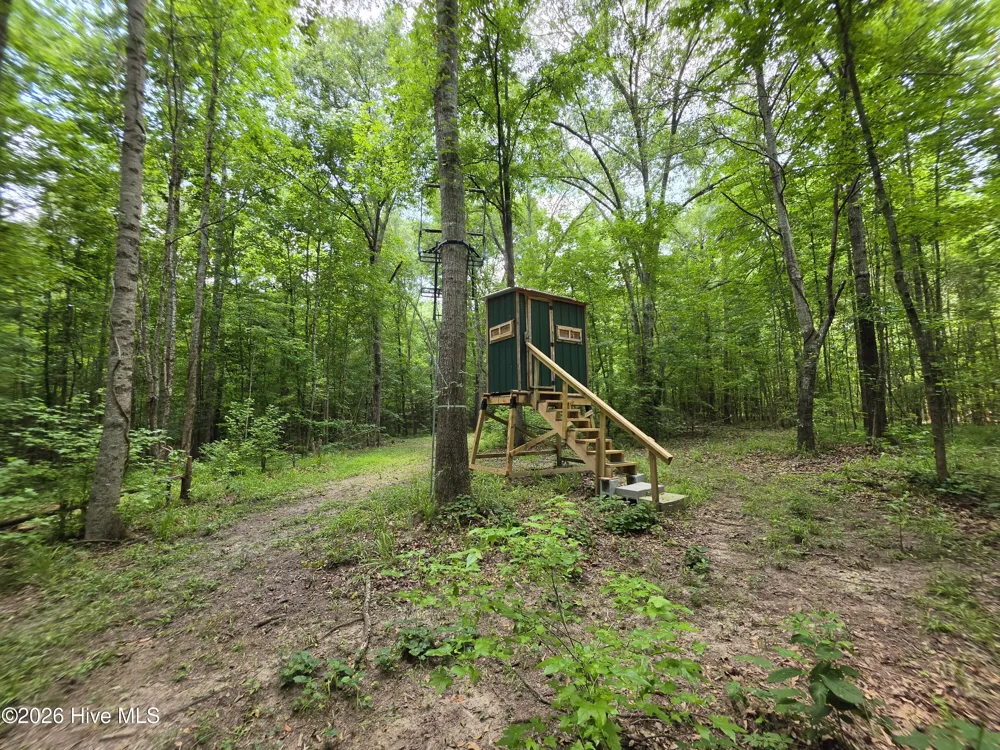 000 Court Ground Road Washington, GA 30673