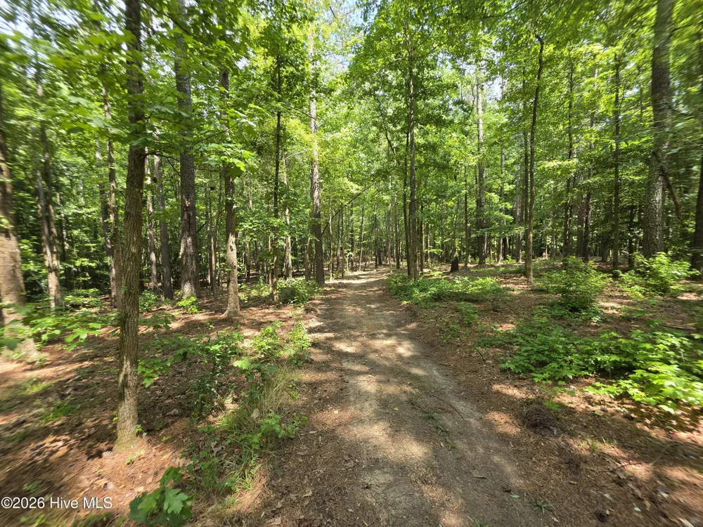 000 Court Ground Road Washington, GA 30673
