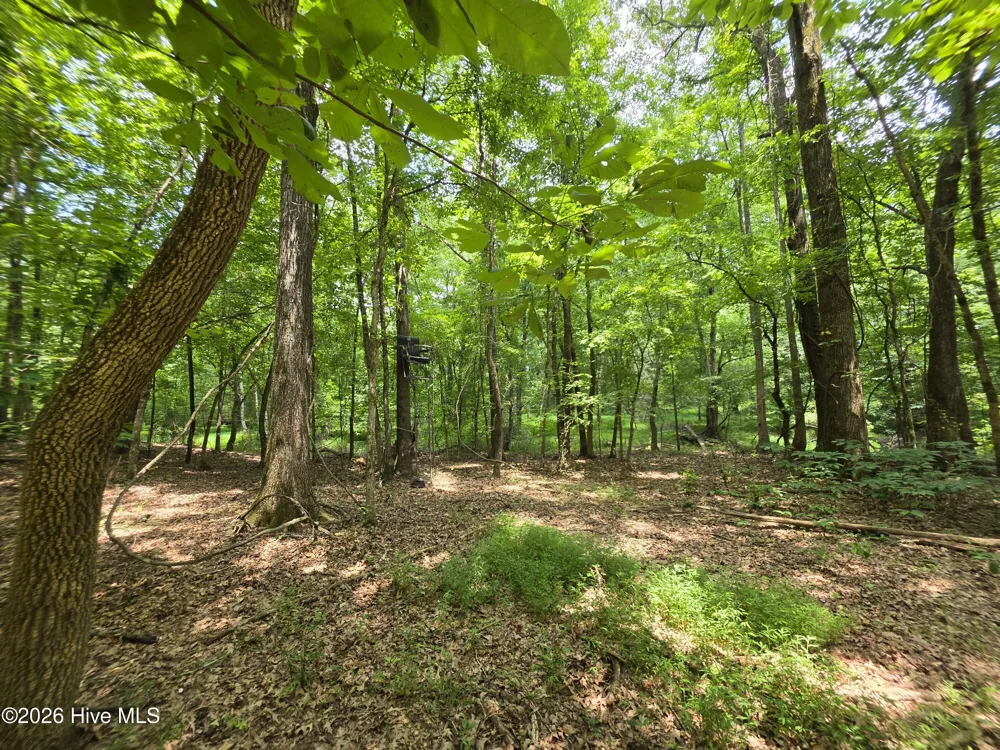 000 Court Ground Road Washington, GA 30673