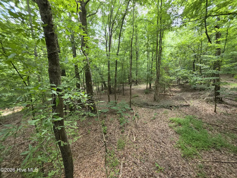 000 Court Ground Road Washington, GA 30673