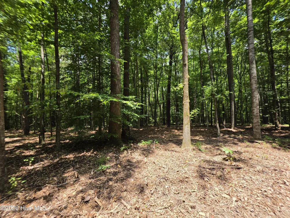 000 Court Ground Road Washington, GA 30673