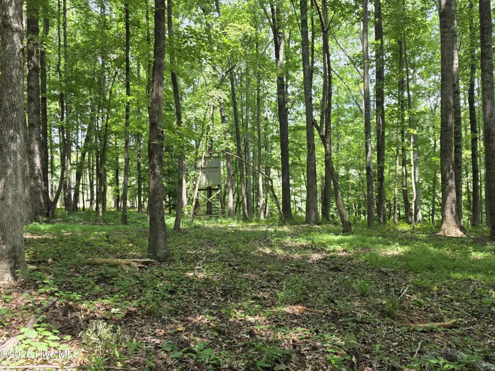 000 Court Ground Road Washington, GA 30673