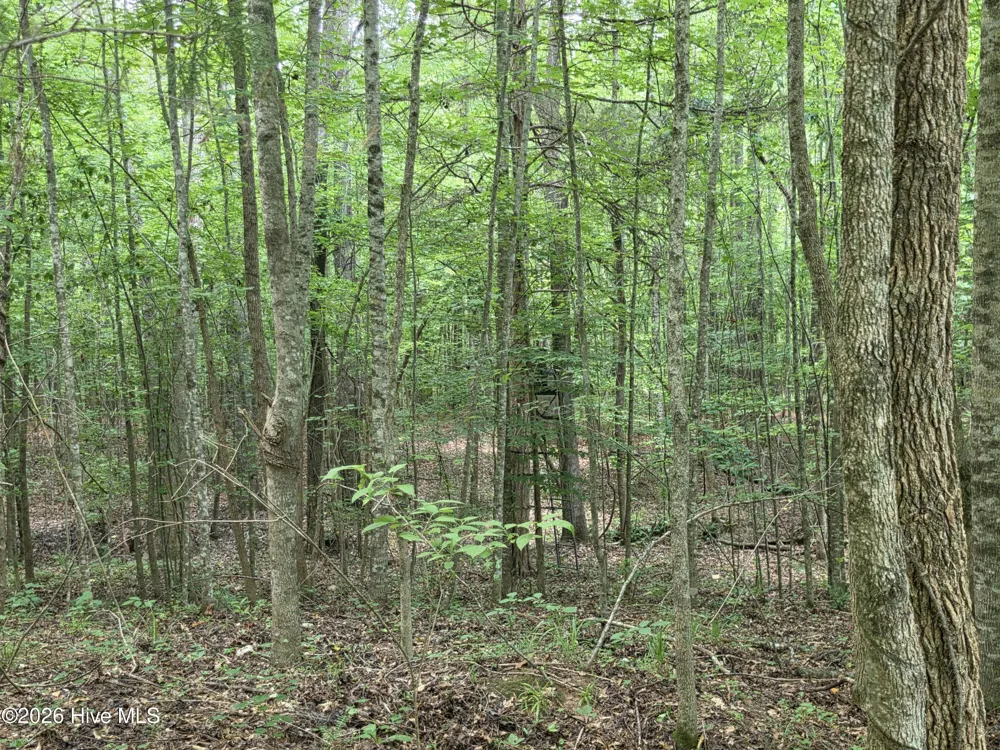 000 Court Ground Road Washington, GA 30673