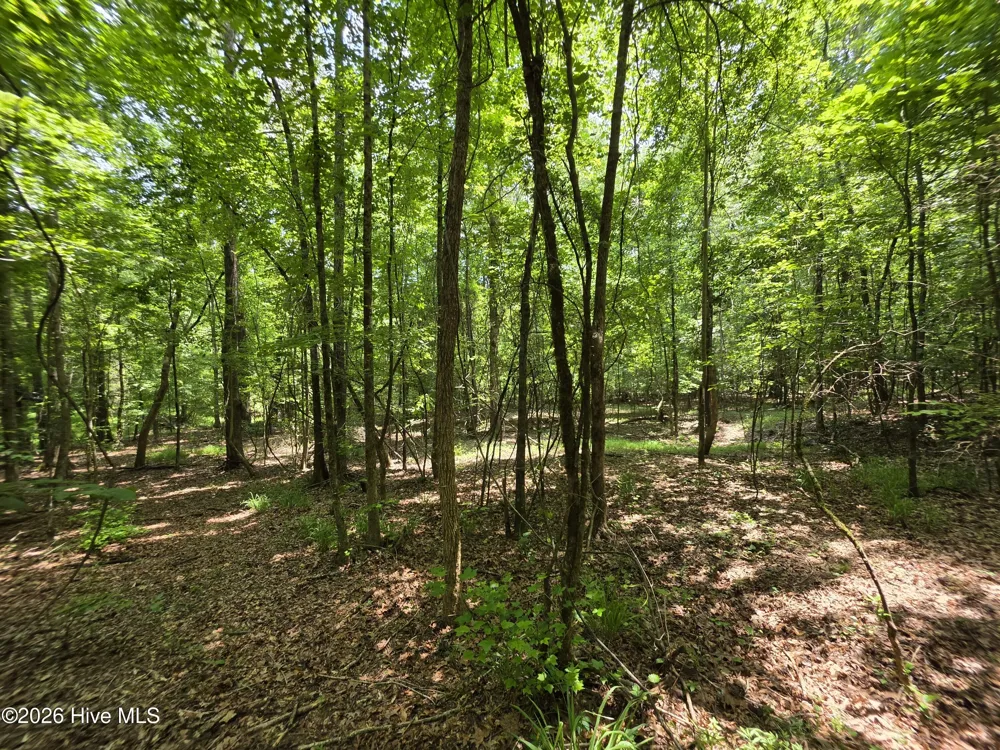 000 Court Ground Road Washington, GA 30673