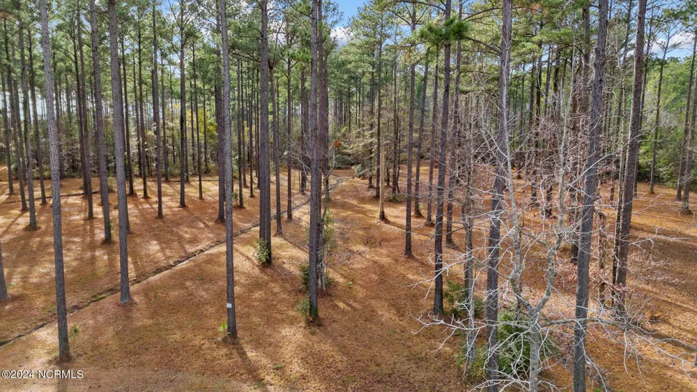 137 Ocracoke Drive Oriental, NC 28571
