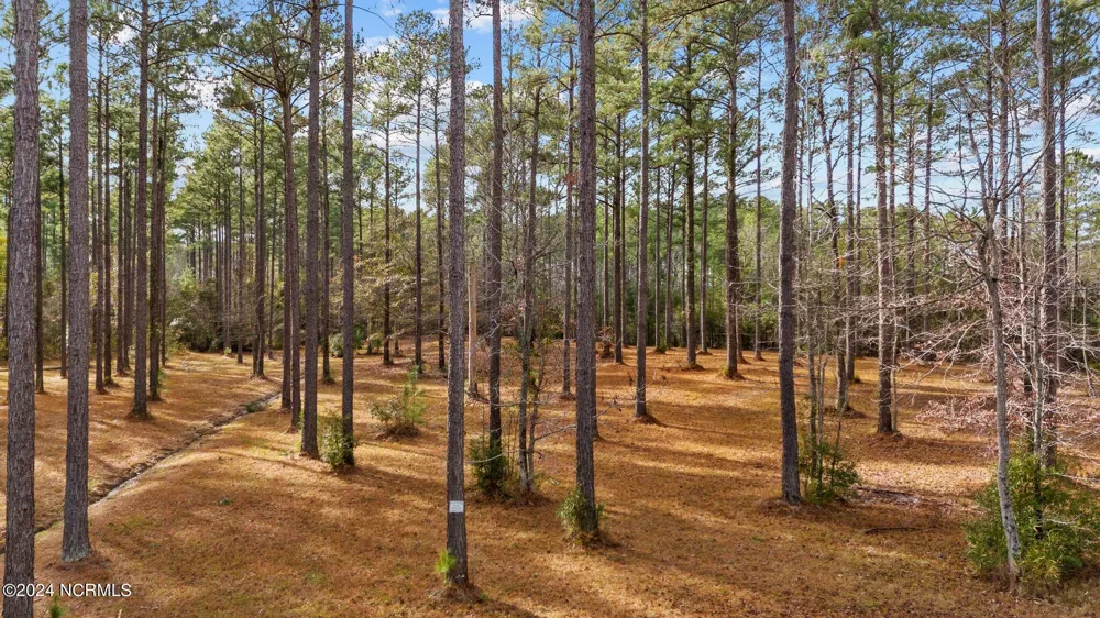 137 Ocracoke Drive Oriental, NC 28571