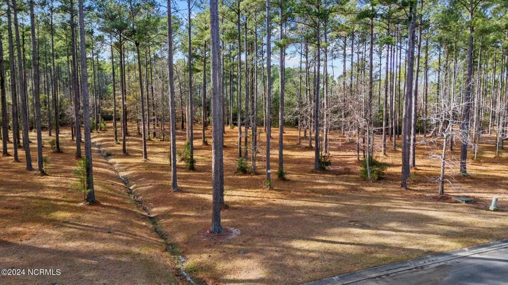 137 Ocracoke Drive Oriental, NC 28571