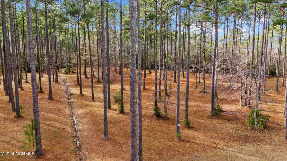 137 Ocracoke Drive Oriental, NC 28571
