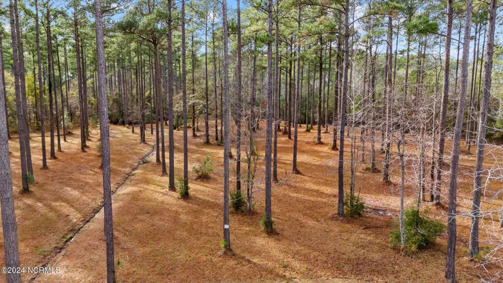 137 Ocracoke Drive Oriental, NC 28571