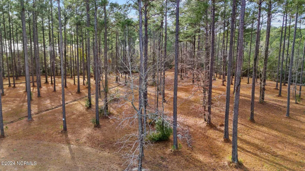 137 Ocracoke Drive Oriental, NC 28571