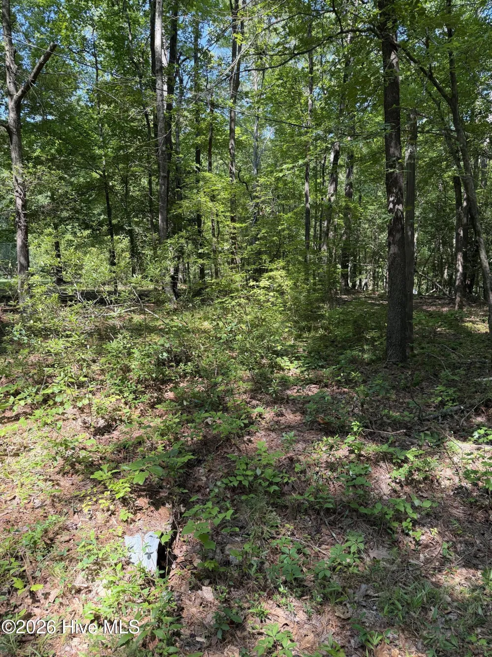 153 Omaha Drive Louisburg, NC 27549