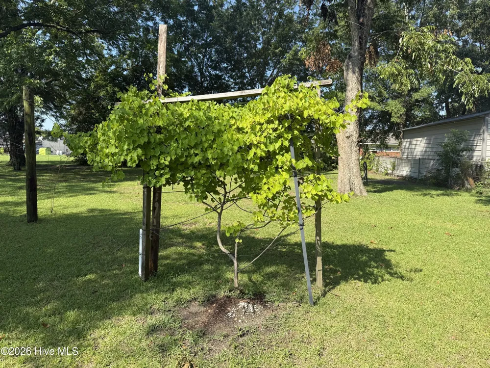 206 Sunset Drive Williamston, NC 27892