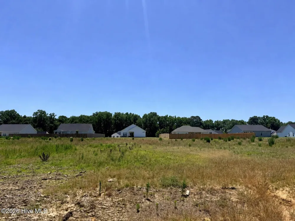 200 Jackson Ridge Way Pikeville, NC 27863