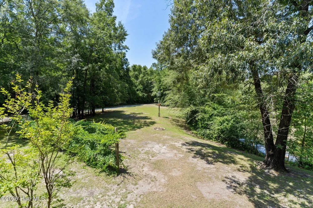 561 White Tail Lane Willard, NC 28478