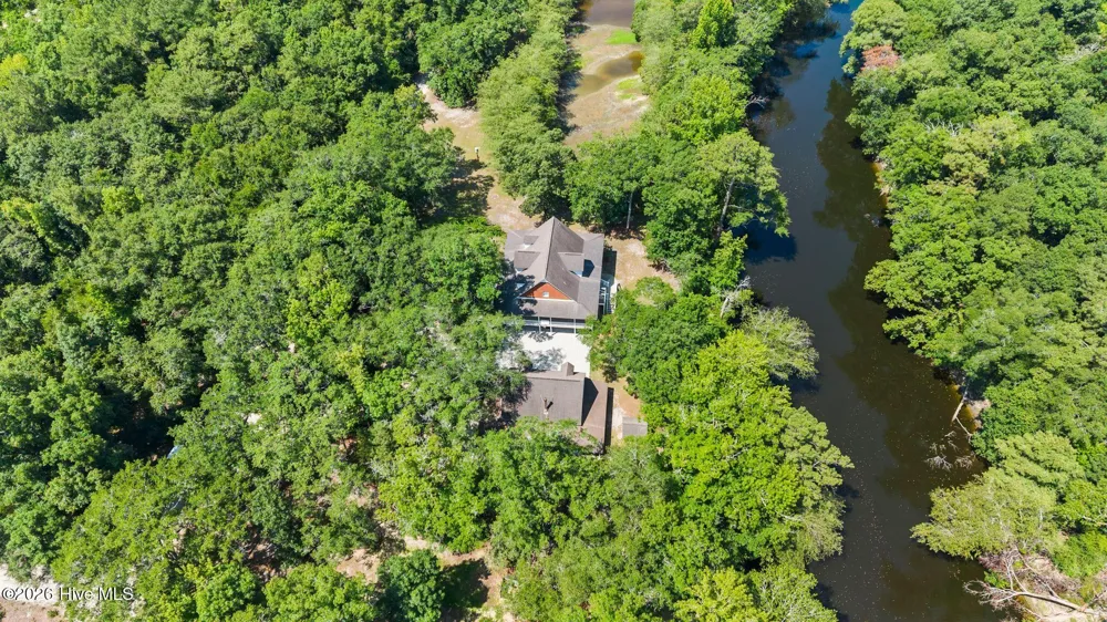 561 White Tail Lane Willard, NC 28478