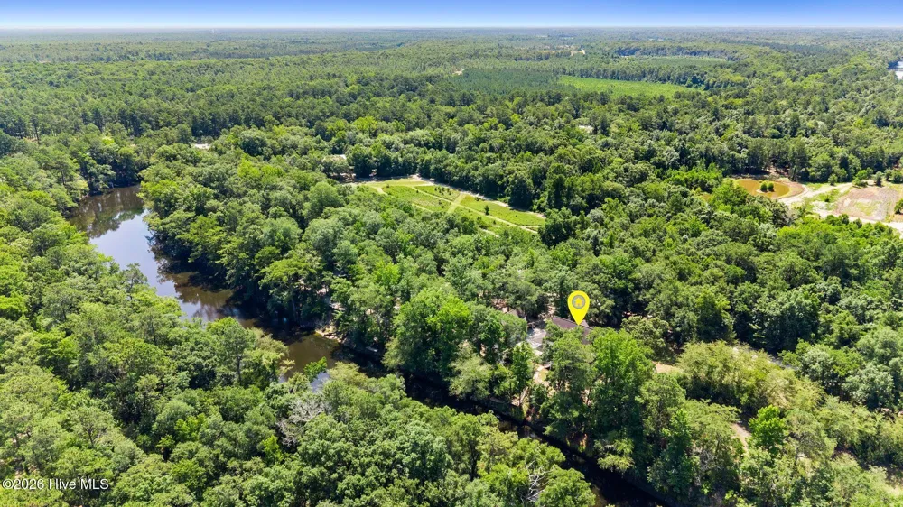 561 White Tail Lane Willard, NC 28478