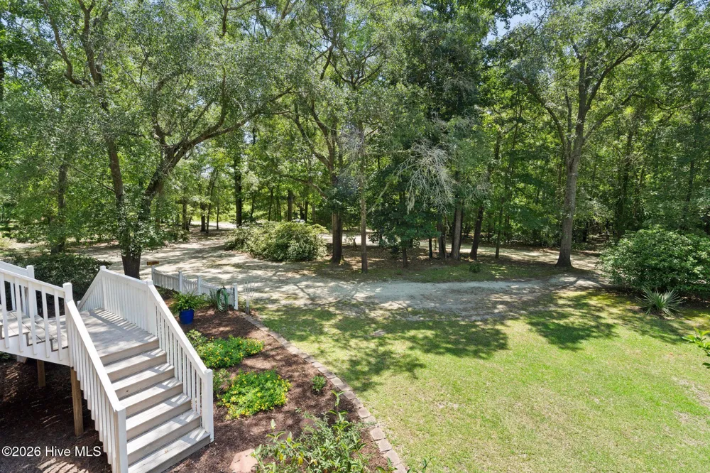 561 White Tail Lane Willard, NC 28478