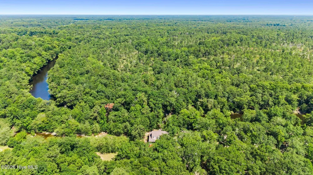 561 White Tail Lane Willard, NC 28478