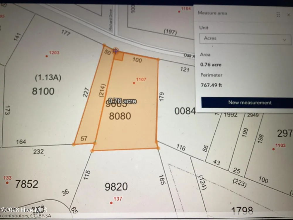 1107 Oak Avenue Hamlet, NC 28345
