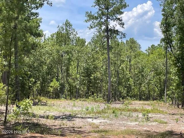 0 Bear Branch Drive Currie, NC 28435