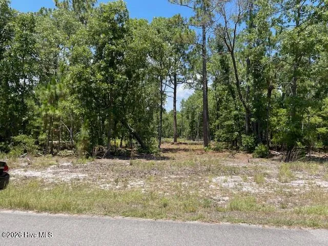 0 Bear Branch Drive Currie, NC 28435