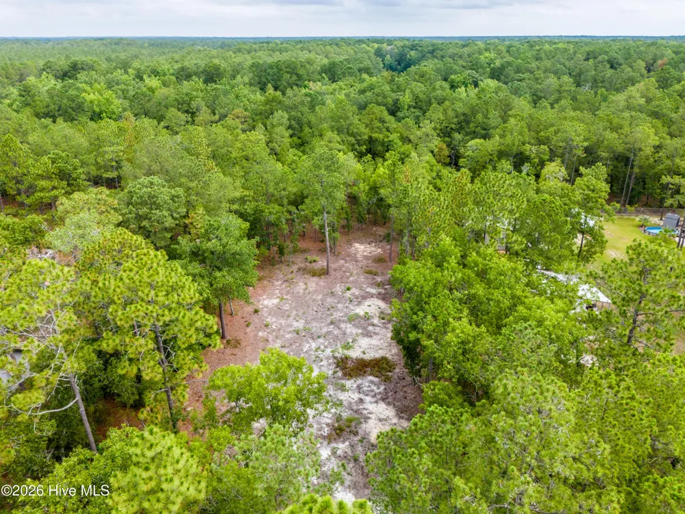 0 Bear Branch Drive Currie, NC 28435