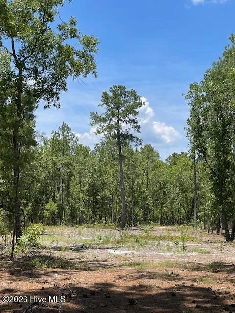 0 Bear Branch Drive Currie, NC 28435