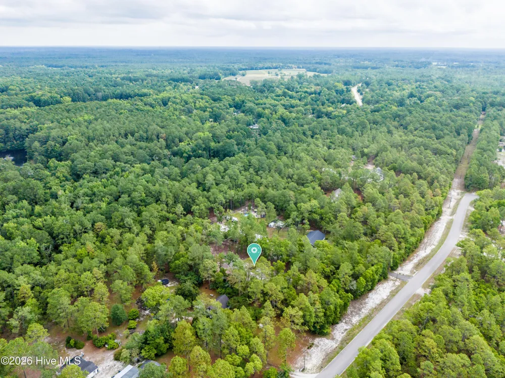 0 Bear Branch Drive Currie, NC 28435