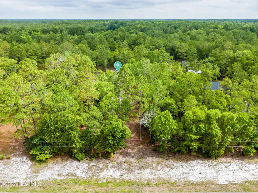 0 Bear Branch Drive Currie, NC 28435