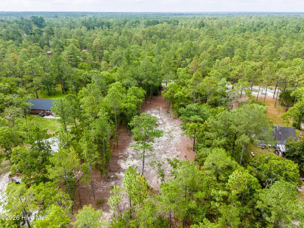 0 Bear Branch Drive Currie, NC 28435