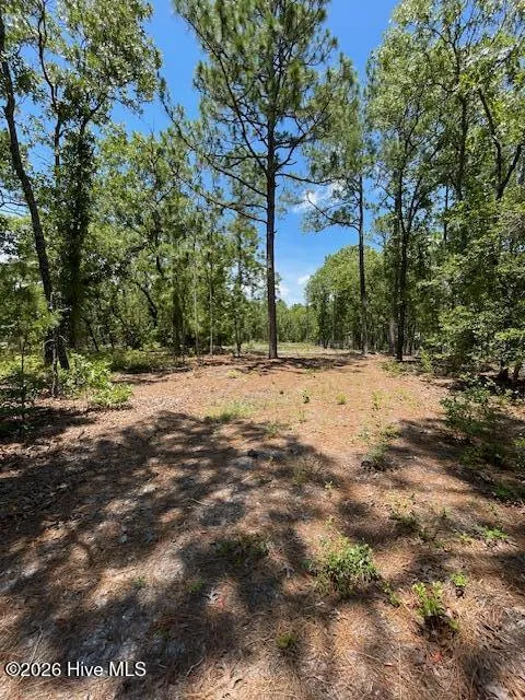 0 Bear Branch Drive Currie, NC 28435