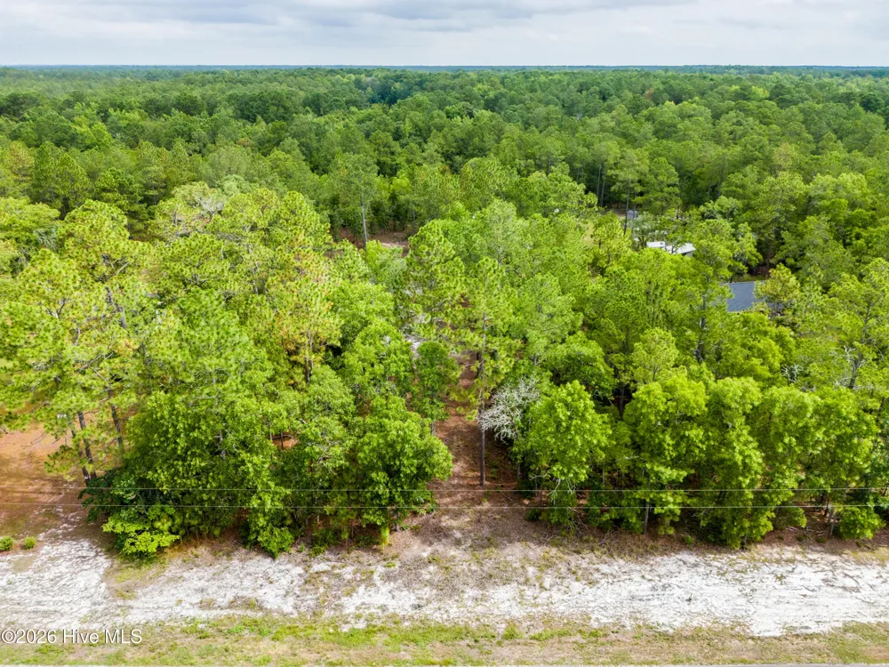 0 Bear Branch Drive Currie, NC 28435