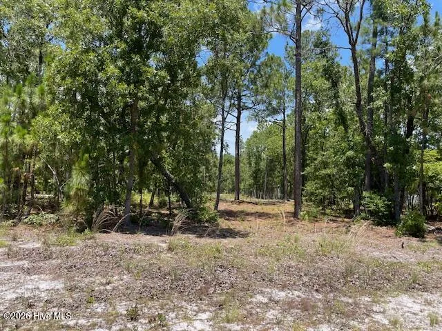 0 Bear Branch Drive Currie, NC 28435