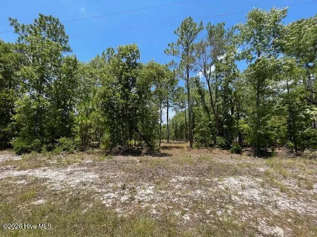 0 Bear Branch Drive Currie, NC 28435