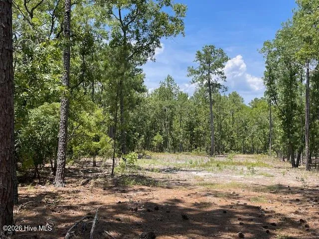 0 Bear Branch Drive Currie, NC 28435