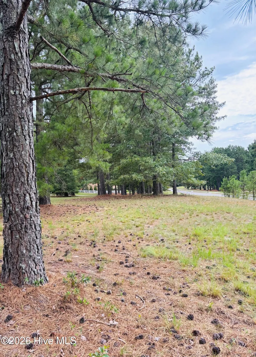 740 Broken Ridge Trail West End, NC 27376