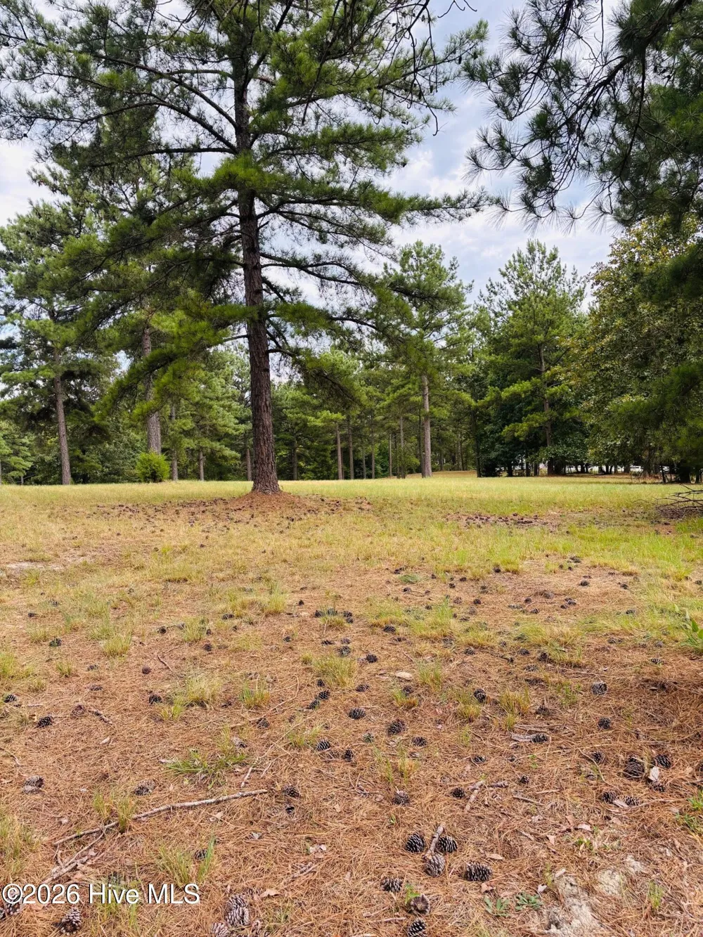 740 Broken Ridge Trail West End, NC 27376