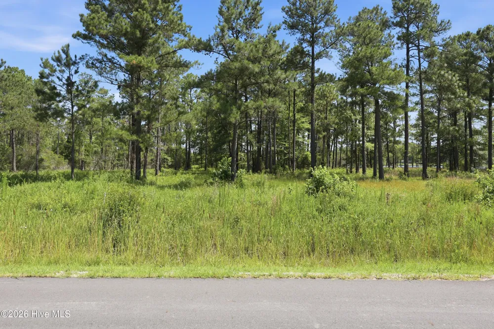 247 Shell Castle Lane Vandemere, NC 28587