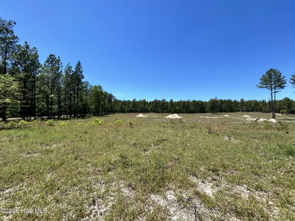 461 Lally Circle Aberdeen, NC 28315
