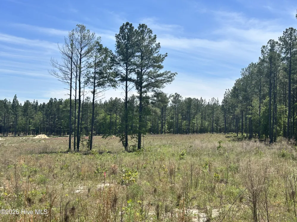 461 Lally Circle Aberdeen, NC 28315