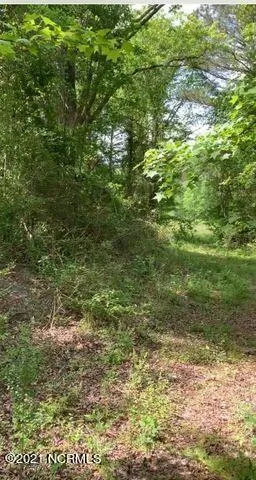Tbd W Hamlet Avenue