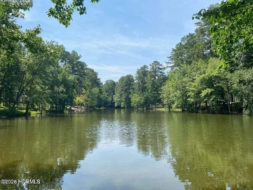 1385 Blue Heron Drive Nashville, NC 27856