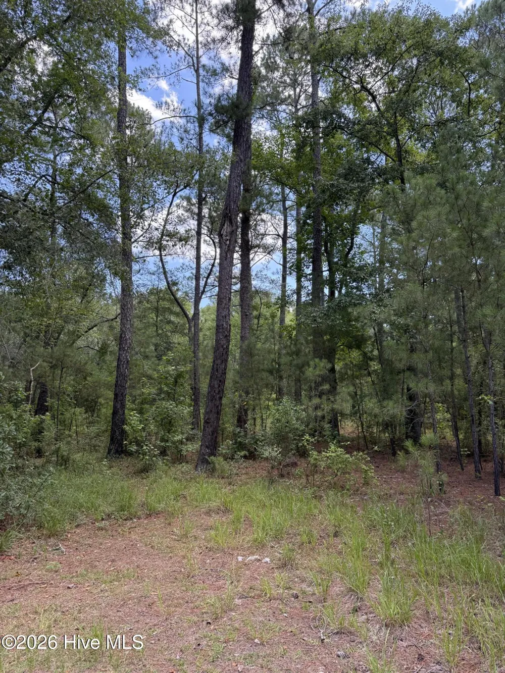 532 Old Hoover Bridge Road Elizabethtown, NC 28337