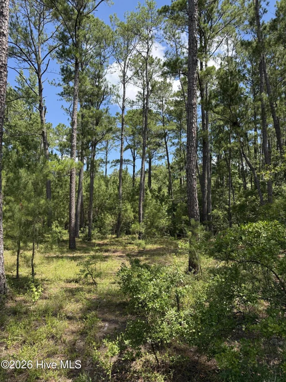 532 Old Hoover Bridge Road Elizabethtown, NC 28337